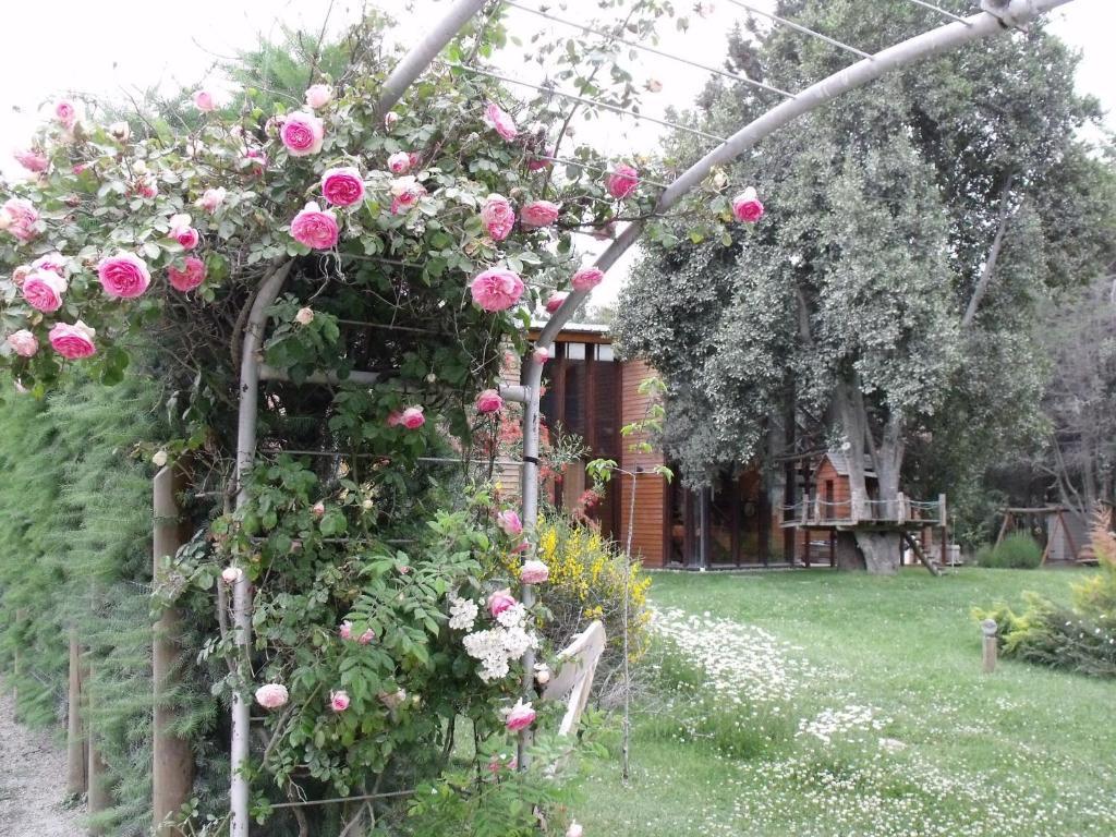 Apart De La Plaza Villa La Angostura Exterior photo